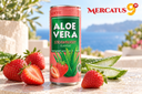 Mercatus9 Bebidas 20261012 82729 Marketing 1