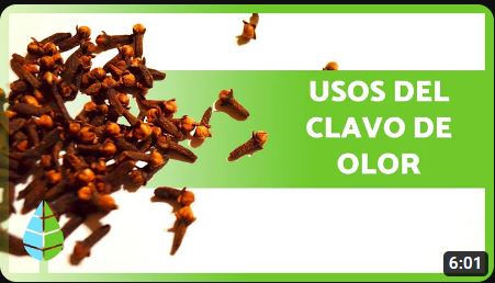 HEIN - CLAVO 50G