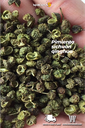 HEIN - PIMIENTA SICHUAN QINGHUA 500G