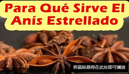 HEIN- ANIS ESTRELLADO 500G
